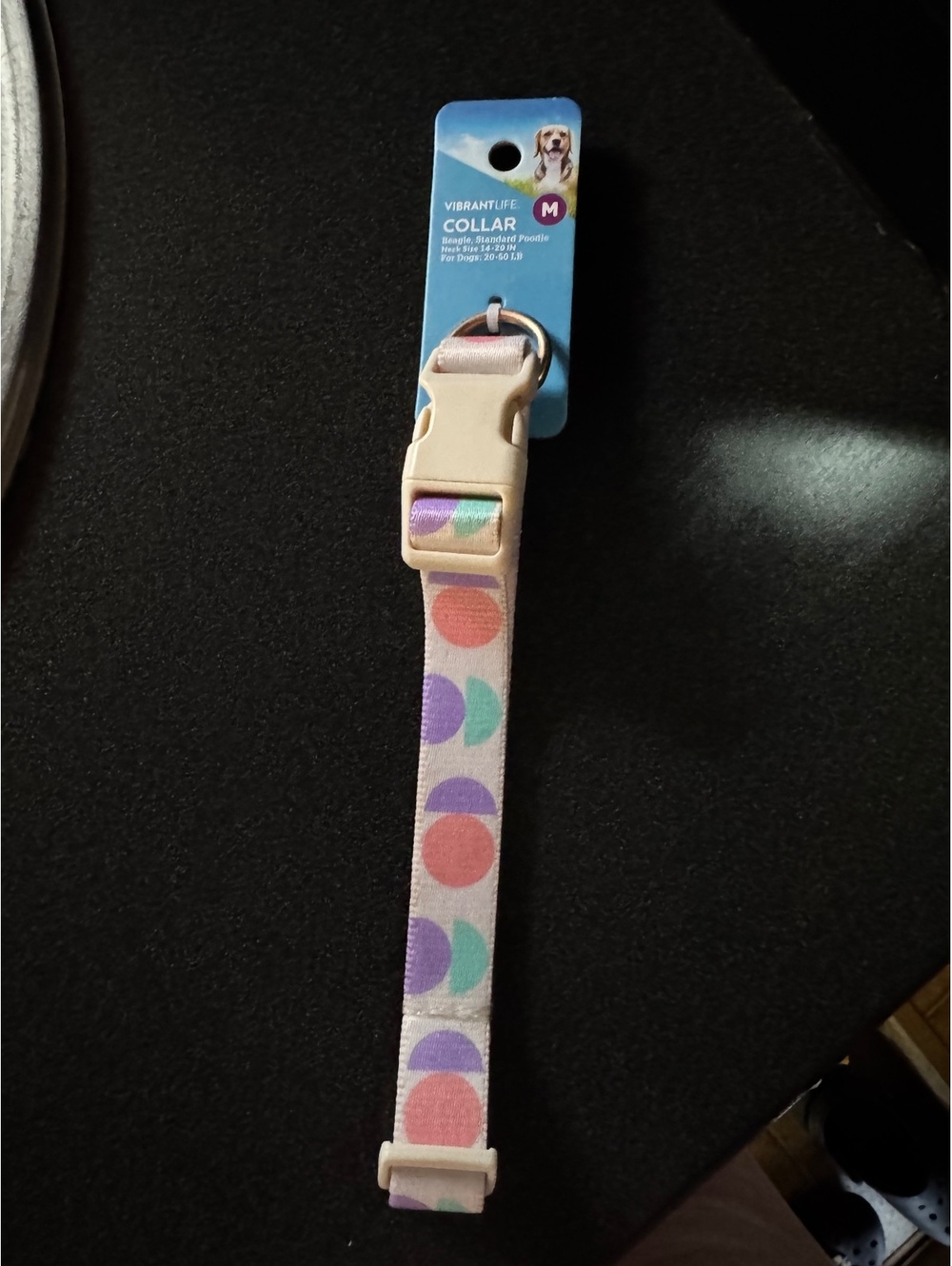 Vibrant Life Medium Dog Collar for Beagle and Standard Poodle, Neck Size 14-20in